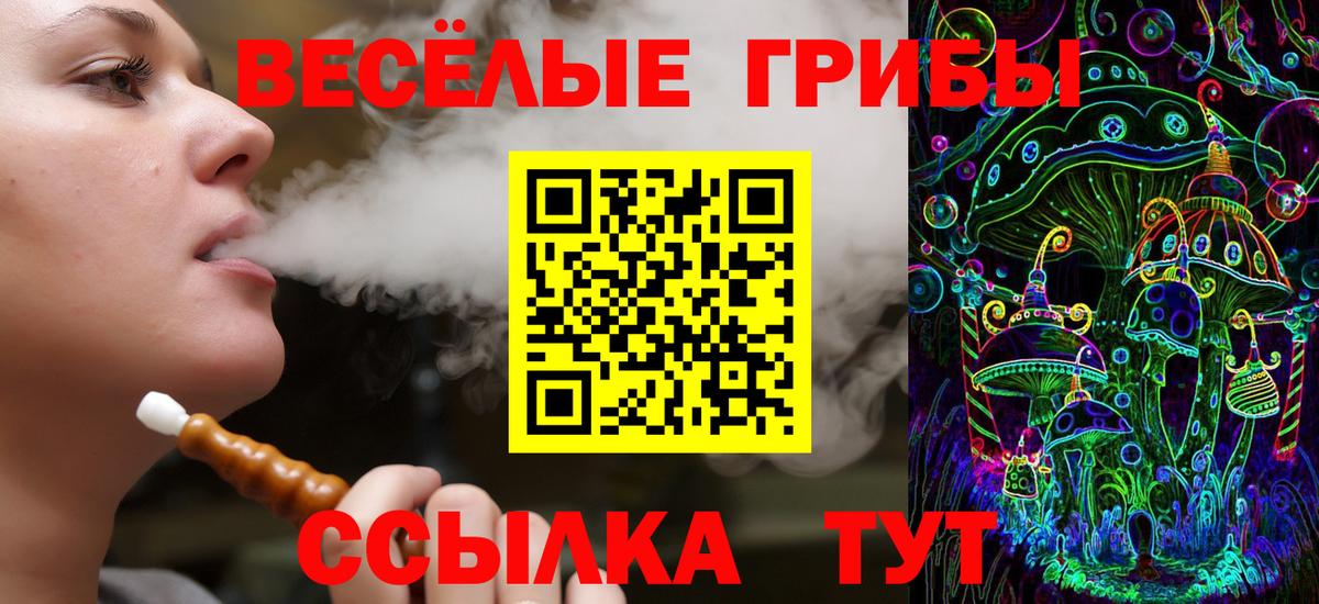 Псилоцибиновые грибы Psilocybine cubensis  Галлюциногенные грибы Psilocybe  Алейск  Вход с VPN 
